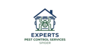 Experts Pest Control Services Spider